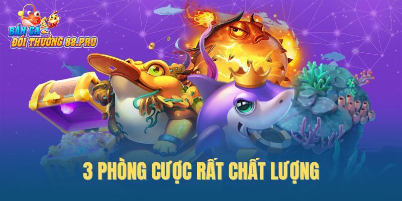 3 phòng cược rất chất lượng