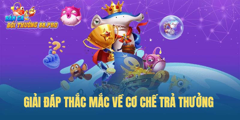 Giải đáp thắc mắc về cơ chế trả thưởng 