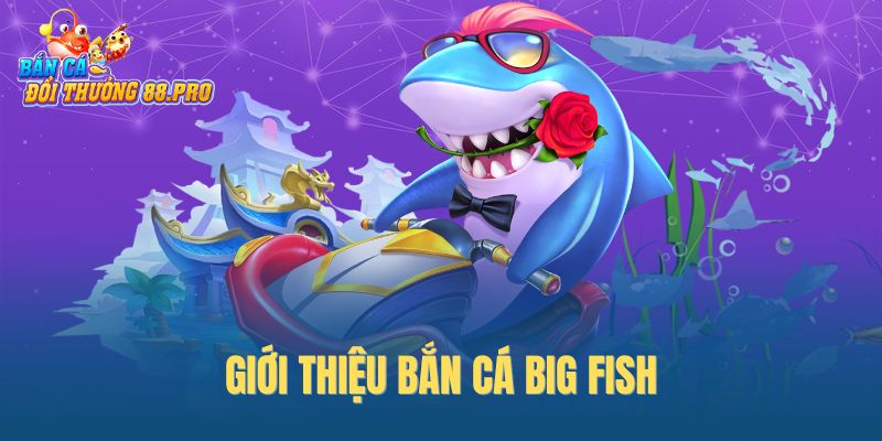 Giới thiệu bắn cá Big Fish
