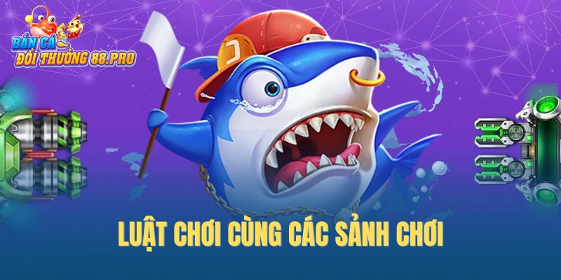 Luật chơi cùng các sảnh chơi