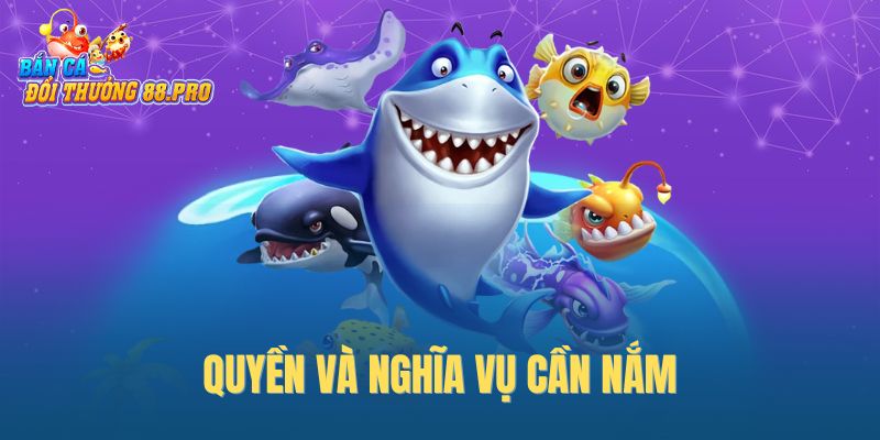 Quyền và nghĩa vụ cần nắm