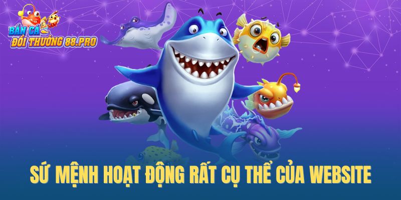 Sứ mệnh hoạt động rất cụ thể của website Sứ mệnh hoạt động rất cụ thể của website