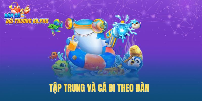 Tập trung và cá đi theo đàn Tập trung và cá đi theo đàn